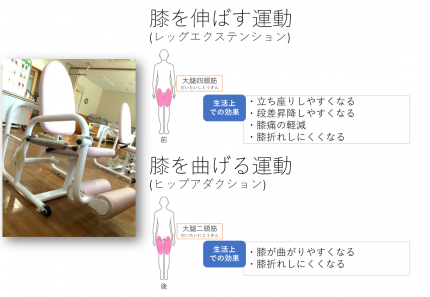 たてがみの郷リハビリ⑦ 74bc0887e45955affba0eba2a6d0a9ad