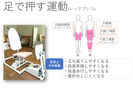 たてがみの郷リハビリ⑤ 9dac499d6de0ccbc652f83d78e1a7657
