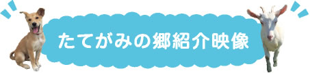 たてがみの郷紹介映像